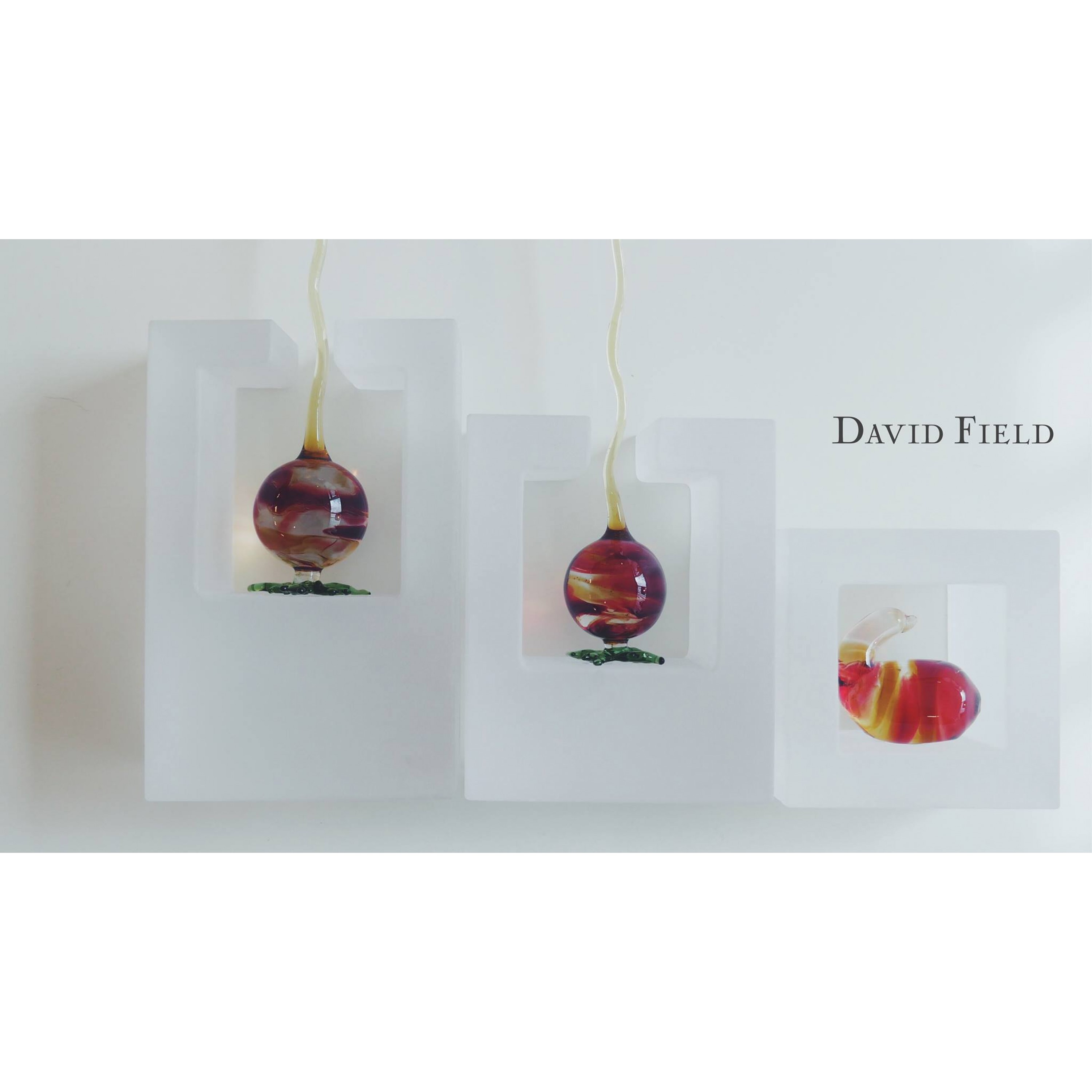 萌芽擺飾 萌芽擺飾