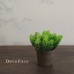 小盆栽擺飾