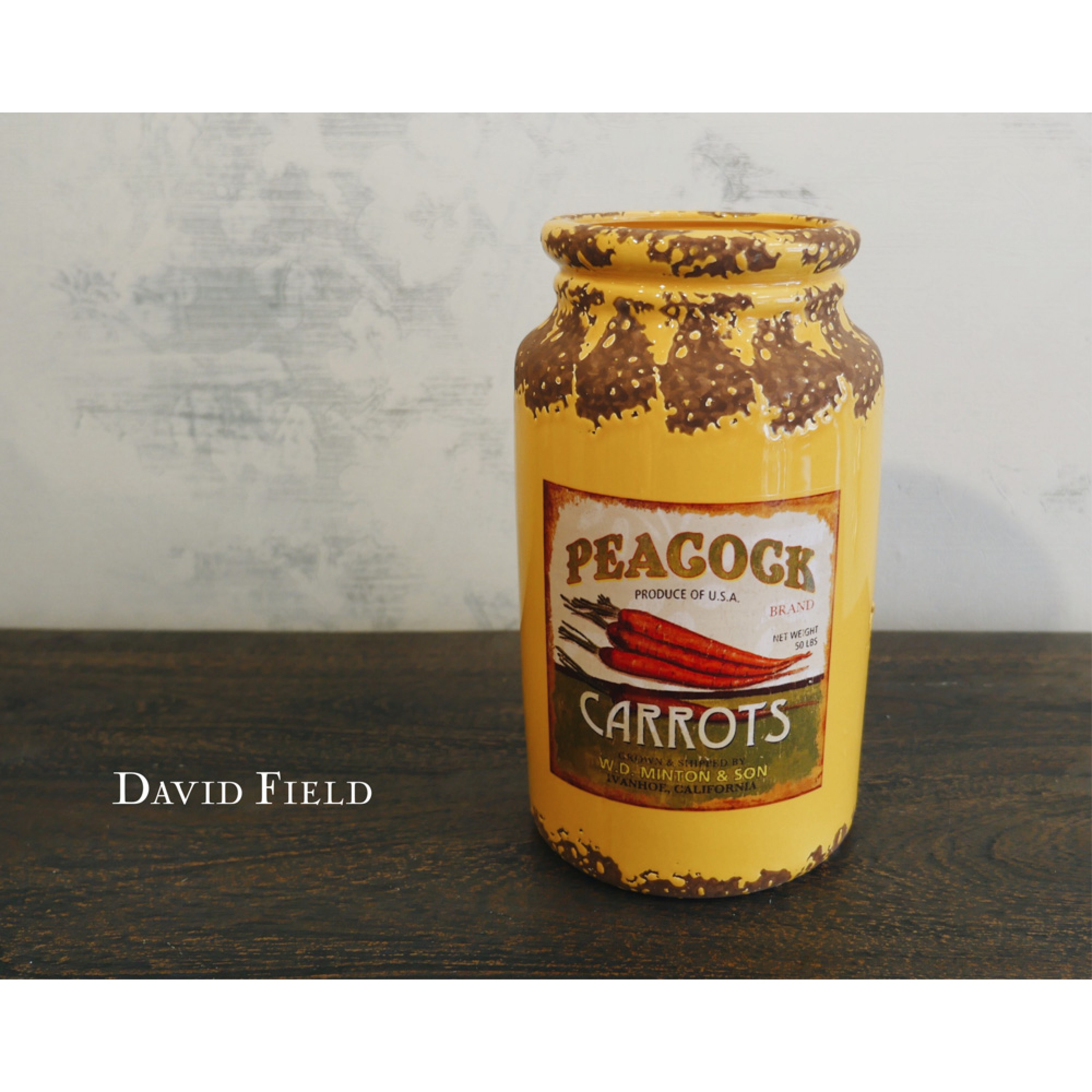 美式鐵罐（內有多款式）